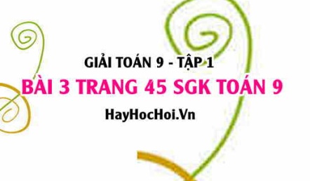 Giải bài 3 trang 45 SGK Toán 9 tập 1